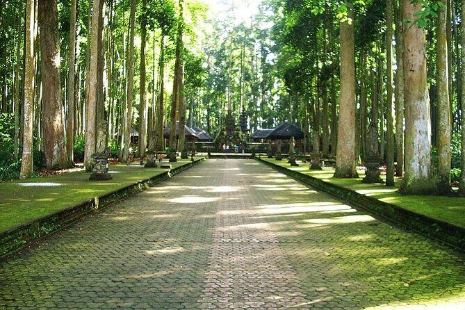 Bali ATV Combined with Mumbul Lake And Sangeh Monkey Forest - Taman Mumbul Lake: a spring-water reset with shade and giant trees