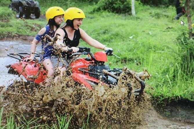 Bali ATV Combined with Mumbul Lake And Sangeh Monkey Forest - Sangeh Monkey Forest: enjoying the wildlife without turning it into chaos