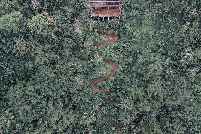 Bali ATV Quad Bike Adventure with Gorilla Cave Pass By Waterfall - Gear, Safety, and Why the Instruction Time Changes Everything