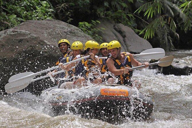 Bali ATV Quad Bike and White Water Rafting - White-Water Rafting on the Ayung River: Rapids With a Team Setup