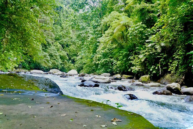 Bali ATV Quad Bike & Ayung River Rafting Combo with Lunch - Lunch break with a real meal, not just a snack