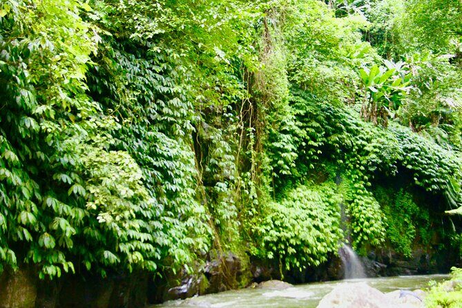 Bali ATV Quad Bike & Ayung River Rafting Combo with Lunch - Who this Bali combo suits best