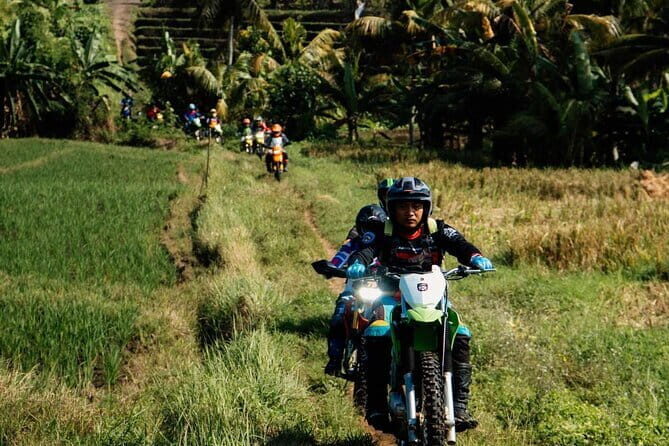Bali ATV Quad Bike Ubud Swing & Monkey Forest All Inclusive - Weather and fitness: the honest limits