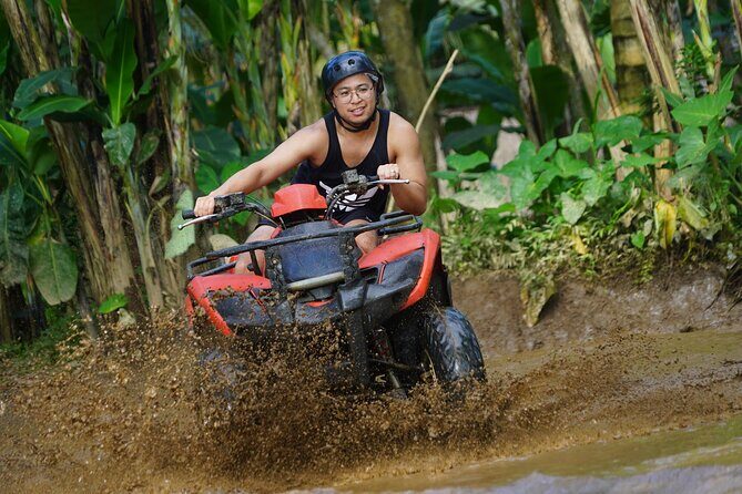 Bali ATV Quad Bike with Monkey Forest and Tegenungan Waterfall - Sangeh Monkey Forest: gray macaques plus Hindu temples