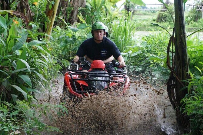 Bali ATV Quadbike Through Gorilla Face Cave - Price and Value: Is $90.81 Worth It?