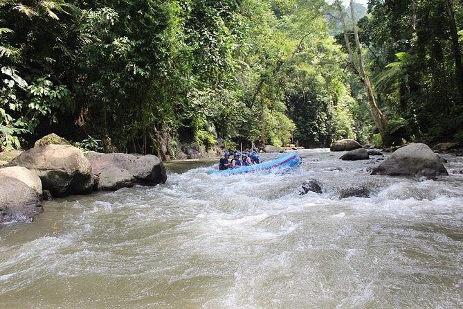 Bali ATV Ride Adventure & White Water Rafting with All-Inclusive - Ayung River Rafting: Beginner-Friendly Rapids With Real Effort