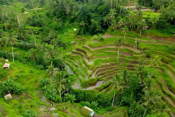 Bali ATV Ride And Ubud Tour Packages : Best Quad Bike Trip - The ATV Ride at Bali Pertiwi Adventure: Where the Day Starts