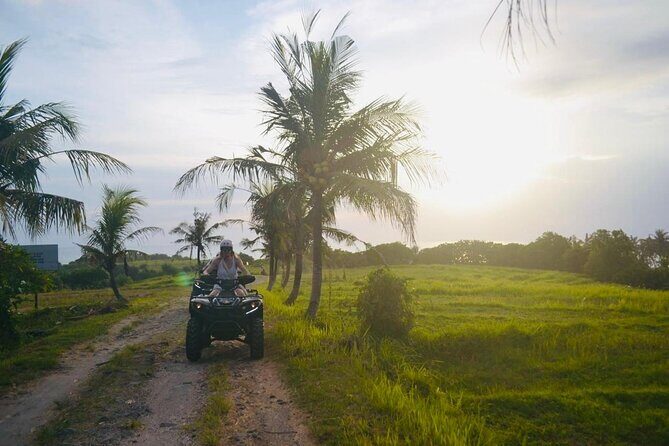 Bali ATV Ride On the Beach, Rice Field and Village Tour 2 Hour - Rice Fields With Sea Views: The Photo Stop That Actually Makes Sense