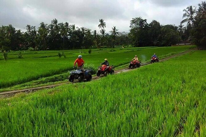 Bali ATV Ride tour Ubud - Lunch After the Ride: Indonesian Food Included