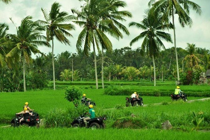 Bali ATV Ride Ubud Jungle Track - Hotel pickup and drop-off: the real convenience factor in Bali