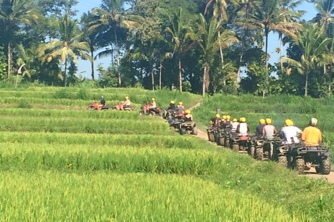Bali ATV Ride Ubud Jungle Track - Village visit: why that stop gives the tour its “Bali” texture