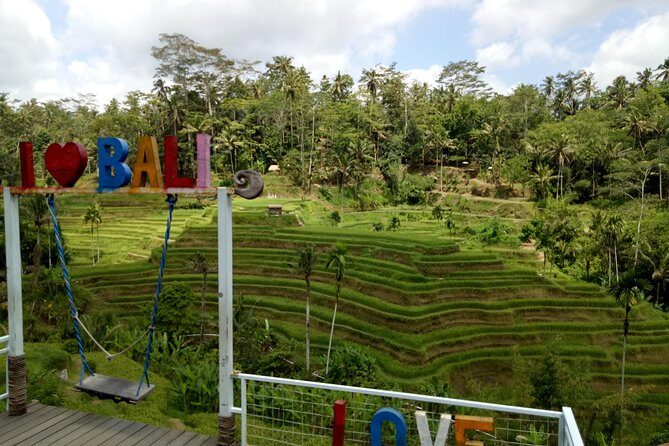 Bali ATV Ride with Jungle Swing and Rice Terrace Tour - Guide quality and keeping the ATV safe