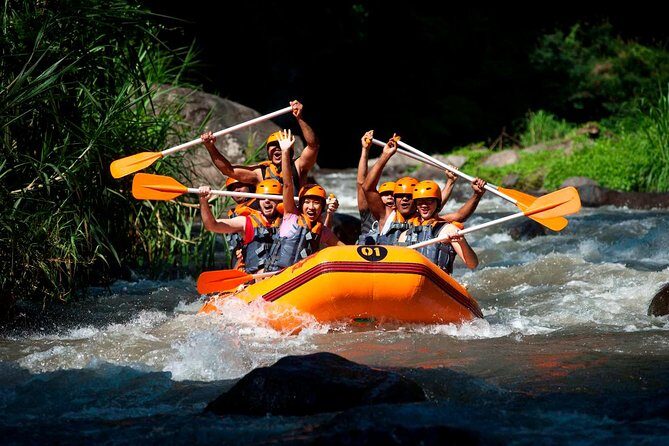 Bali Ayung River White Water Rafting with Transport - Key highlights before you go