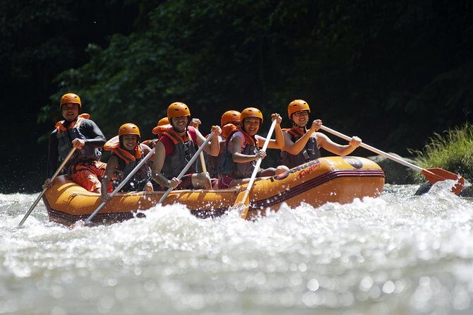 Bali Ayung River White Water Rafting with Transport - Ayung River rapids near Ubud: what you’re actually getting