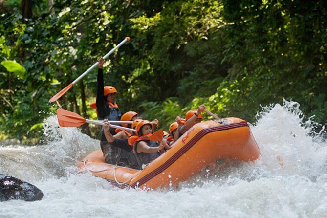 Bali Ayung River White Water Rafting with Transport - On the water: Grade II–III thrills, ducking drills, and a guide who stays close