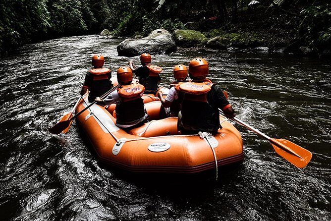 Bali Ayung River White Water Rafting with Transport - Private transport from your hotel: less waiting, more river time