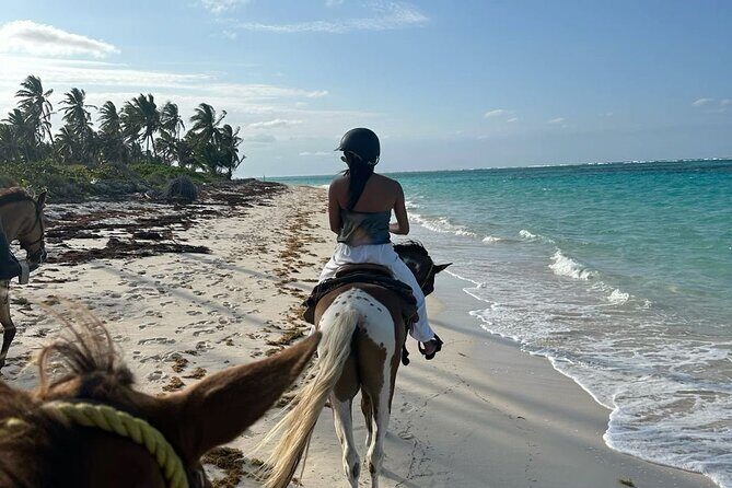 Bali Beach Horse Riding combo with waterfall All Inclusive - Key highlights you’ll feel on the day