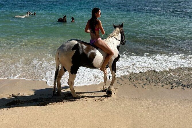 Bali Beach Horse Riding combo with waterfall All Inclusive - Why this Seminyak horse ride plus Kanto Lampo works