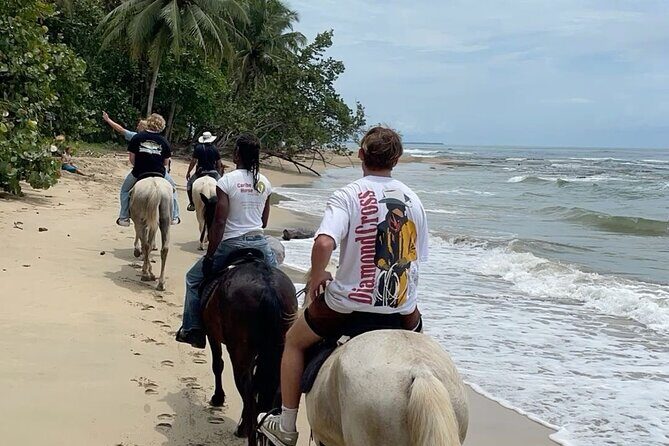 Bali Beach Horse Riding combo with waterfall All Inclusive - Saba Beach horseback riding: romantic, scenic, and guided