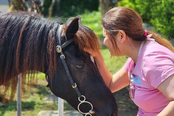 Bali Beach Horse Riding combo with waterfall All Inclusive - Who this combo is best for