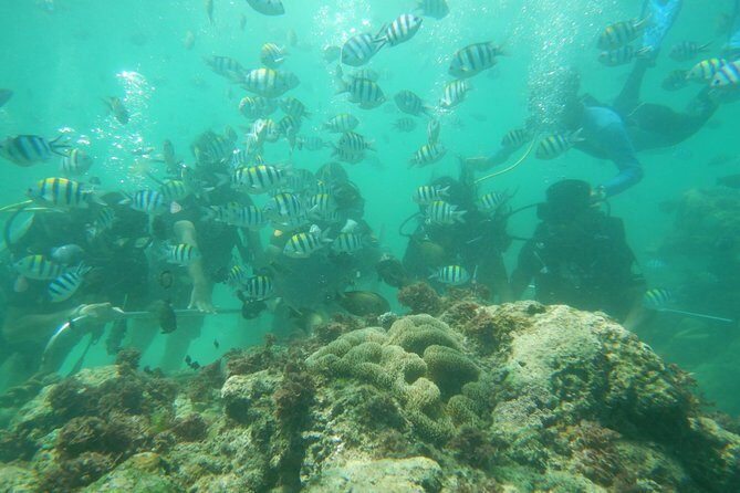 Bali Beaches Hopping - Uluwatu Temple - Stop 2: Geger Beach for a slower swim and a longer stretch