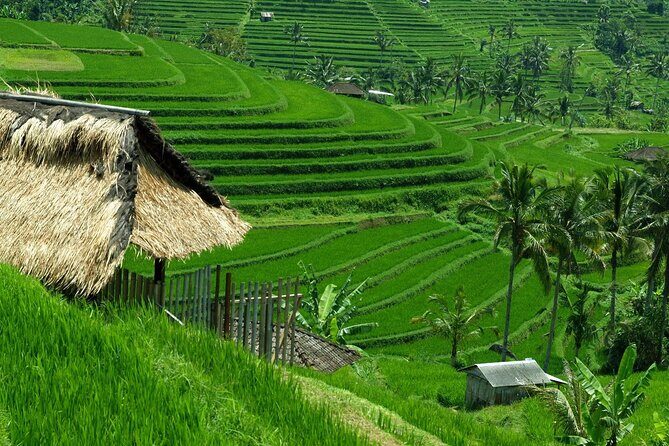 Bali: Bedugul Lake Temple, Banyumala Waterfall, UNESCO Rice Field - From Seminyak to highland Bali: how the day really plays out