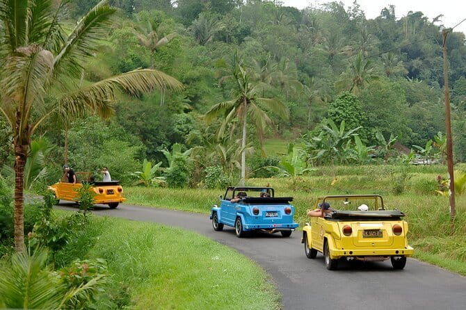 Bali: Bedugul Temple, Banyumala Waterfall, UNESCO Rice Terrace - Who should book this, and who might want a different plan