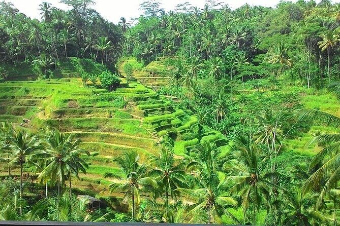 Bali Benoa Shore Excursion for cruise's passenger - All Inclusive - Tegenungan Waterfall: play time, not just a viewpoint