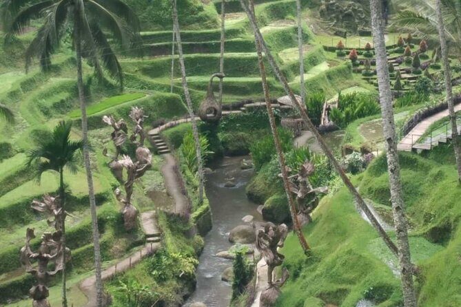 Bali Benoa Shore Excursion for cruise's passenger - All Inclusive - Tegalalang Rice Terraces: subak irrigation and photo-ready viewpoints
