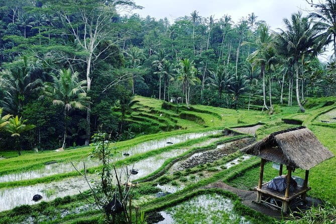 Bali: Best Eastern Waterfalls with Private Bali Tours - Tukad Cepung Waterfall: The Cave Waterfall Feel