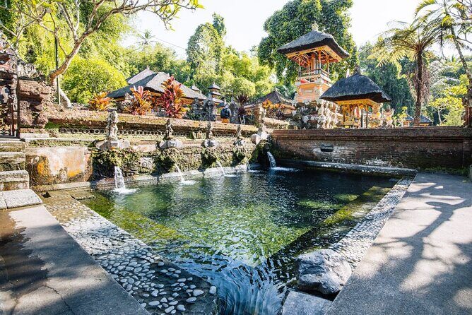Bali Best Of Ubud Tour Private and All Inclusive - Price and what you truly get for $119