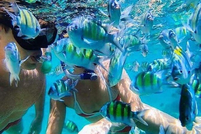 Bali Best Snorkeling at Blue Lagoon - Key Highlights You’ll Actually Feel in Your Day