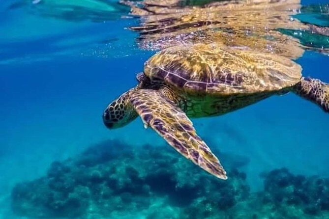 Bali Best Snorkeling at Blue Lagoon - Guides and Equipment: What You Can Rely On