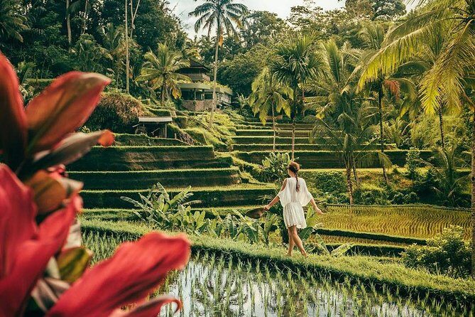 Bali BEST Things to Do Private Full-day Tour from Your Hotel - Picking the right route: Ubud-focused or East Bali + swing