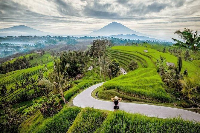 Bali BEST Things to Do Private Full-day Tour from Your Hotel - Tirta Gangga Water Palace: the calm stop between the chaos