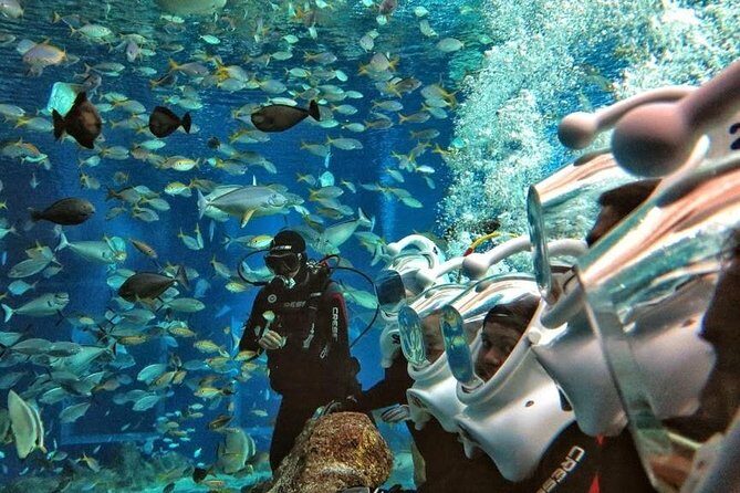 Bali Best Watersport Sea walker,Parasailing adventure,Jet sky - From Ubud to Tanjung Benoa: how the day really works