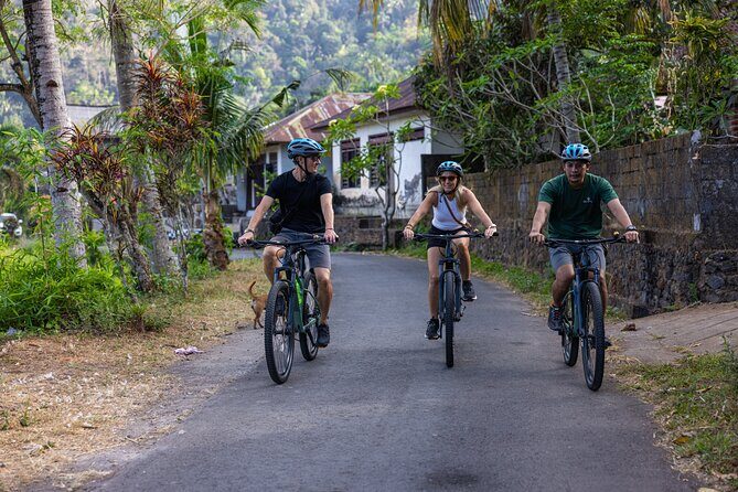 Bali Bike Tour Ubud Area - Key Highlights You’ll Care About