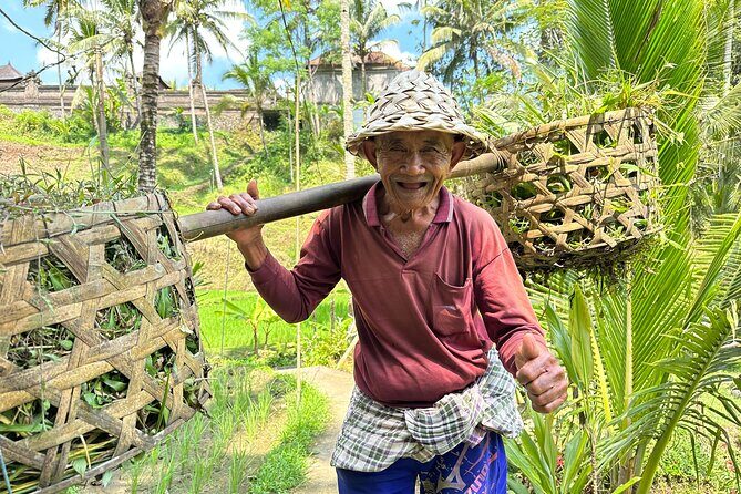 Bali Bike Tour Ubud Area - Bongkasa Village Finish: Lunch in a Family Setting