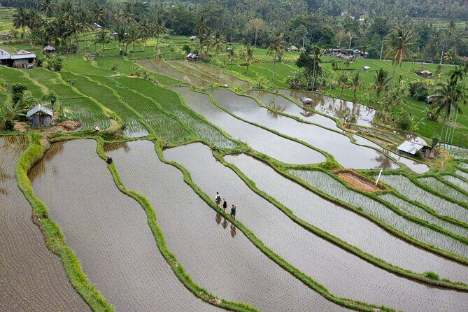 Bali Bike Tour Ubud Area - Guide-Led Culture Stops: The Names That Keep Showing Up