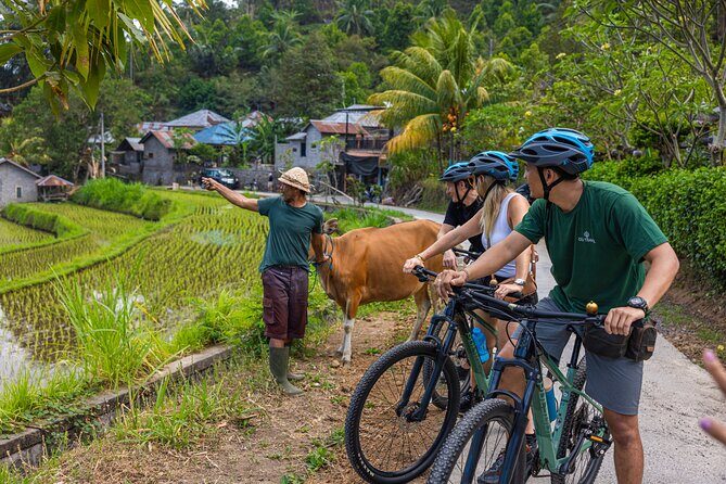 Bali Bike Tour Ubud Area - Safety and Support: What the Following Car Really Does