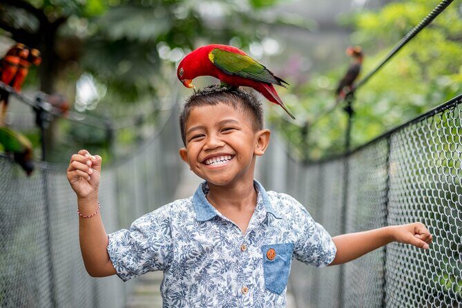 Bali Bird Park Admission Ticket - Feeding sessions: the closest encounters happen on your schedule