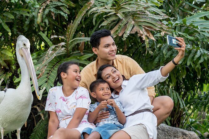 Bali Bird Park Admission Ticket - The 4D Movie: a simple way to pace a 3-hour visit
