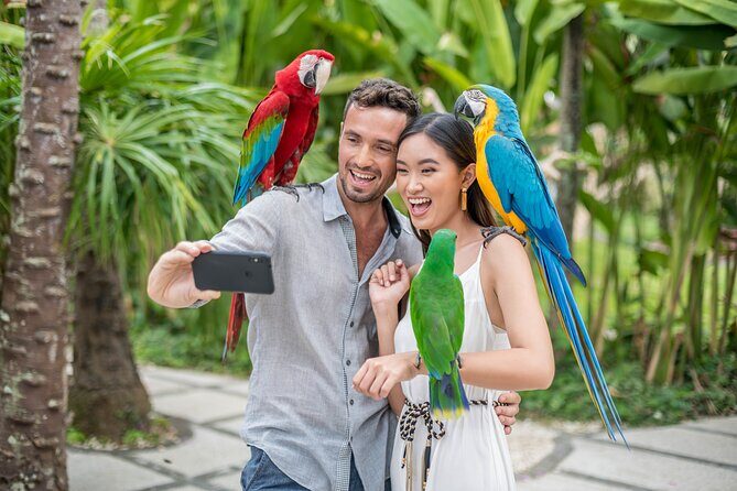Bali Bird Park Admission Ticket - Price and value: when $18.82 feels fair (and when it does not)