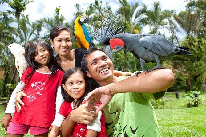 Bali Bird Park Admission Ticket with Hotel Transfer - A 1 to 6 hour visit: how to use your time wisely