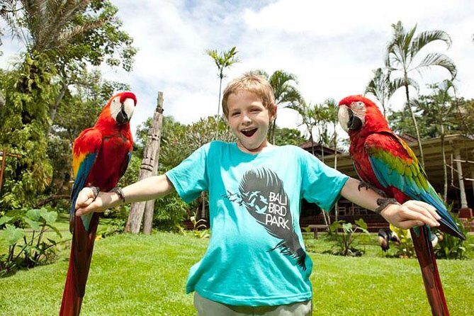Bali Bird Park Admission Ticket with Hotel Transfer - Entrance ticket and bird shows: included value you don’t have to calculate