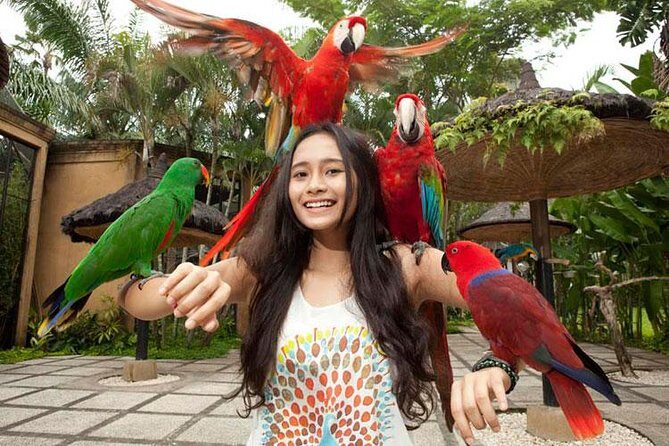 Bali Bird Park Admission Ticket with Hotel Transfer - Price and value: why $38 makes sense here