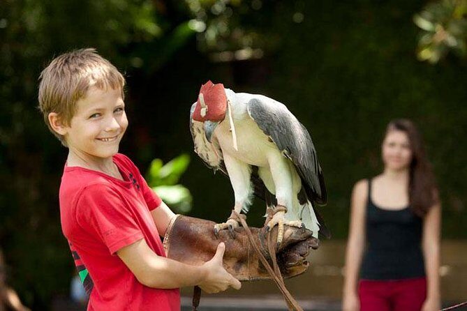 Bali Bird Park Admission Ticket with Hotel Transfer - What you’ll actually see: rare birds and real variety