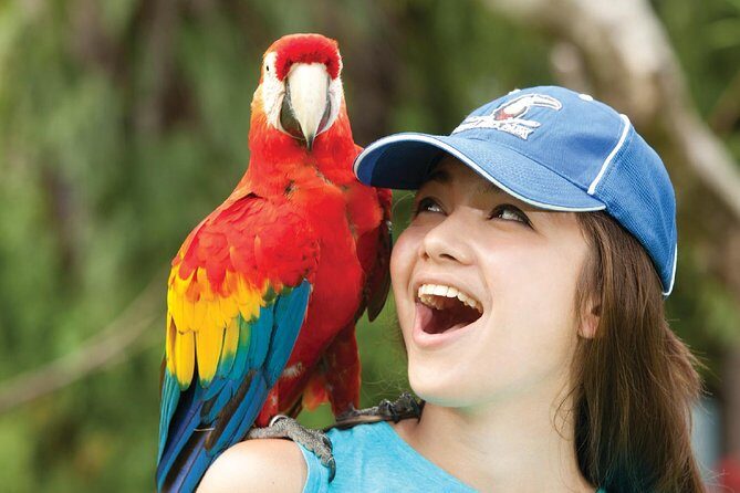 Bali Bird Park Admission Ticket - The park layout: free-roaming birds and easy strolling