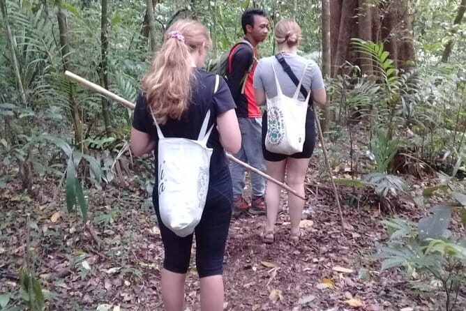 Bali Blue Lagoon Snorkeling and Waterfall Day Tour with Lunch - The Snorkeling Setup: Instructor Help, Equipment, and Confidence