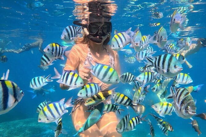 Bali : Blue Lagoon Snorkeling combine with Bali Swing in Ubud - Your driver and the Made effect: comfort, timing, and culture talk